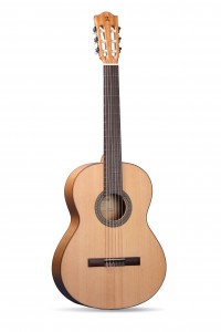 Alhambra Guitars 2F Flamenco Guitar