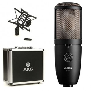 AKG P420 Large-diaphragm Condenser Microphone.