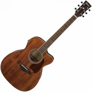 Ibanez AC340CE-OPN Artwood Acoustic-Electric Guitar - Open Pore Natural