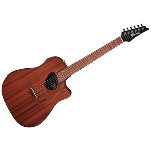 Salmeenmusic.com - Ibanez Alstar ALT20-OPN Acoustic-electric Guitar - Open Pore Natural