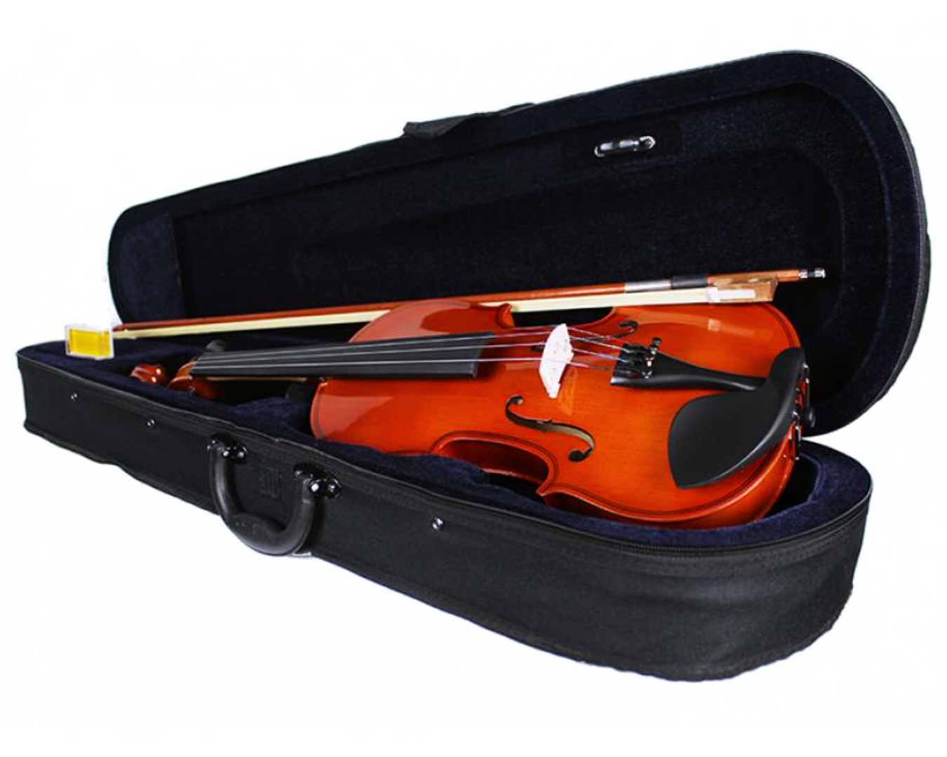 Musical Instruments | Best Online Music Instrument Store | Salmeen